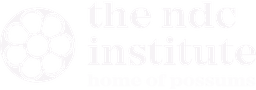 The NDC institute logo