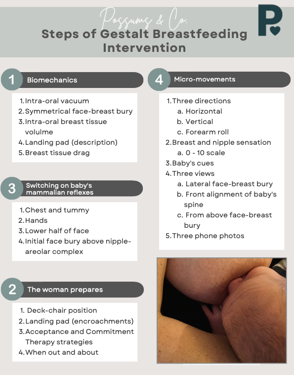 steps of gestalt breastfeeding intervention